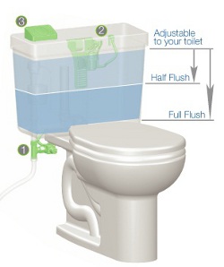Dual Flush Cistern!